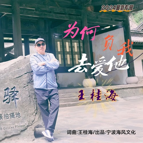 为何负我去爱他-烟嗓版