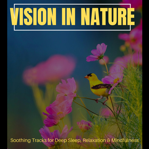 Vision In Nature - Soothing Tracks For Deep Sleep, Relaxation & Mindfulness