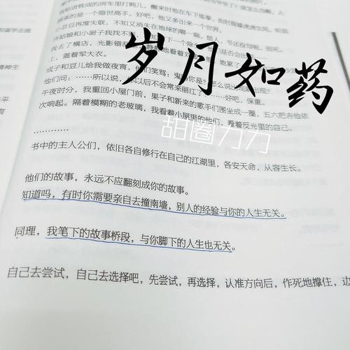 我曾荒度的岁月
