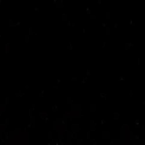 w00fin (feat. Lieech) [Explicit]