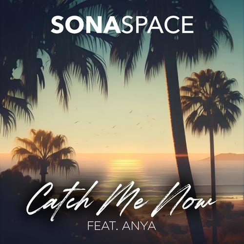 Catch Me Now (feat. Anya)