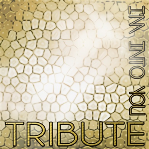 I'm Into You (Jennifer Lopez Feat. Lil Wayne Tribute)