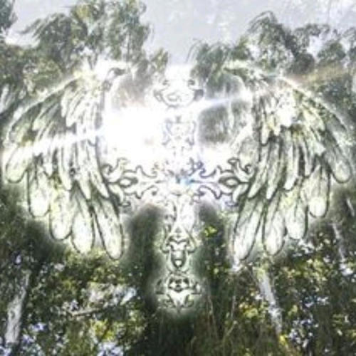 Wish Niggas Would (Explicit)