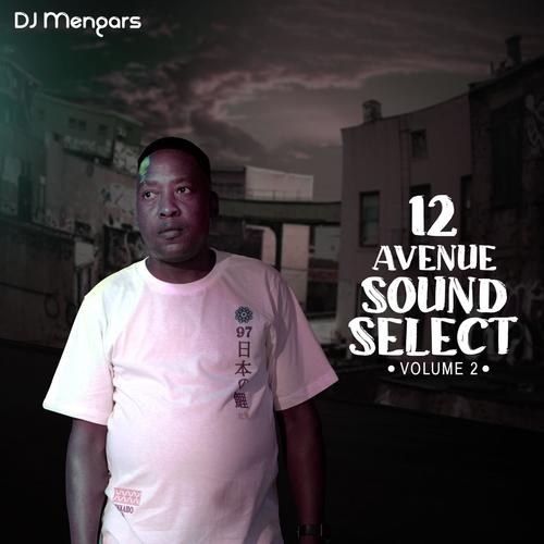 12 Avenue Sound Select Volume 2