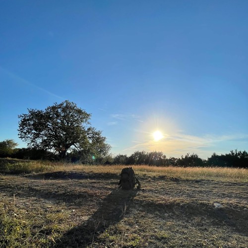 Visual Perspective (Explicit)