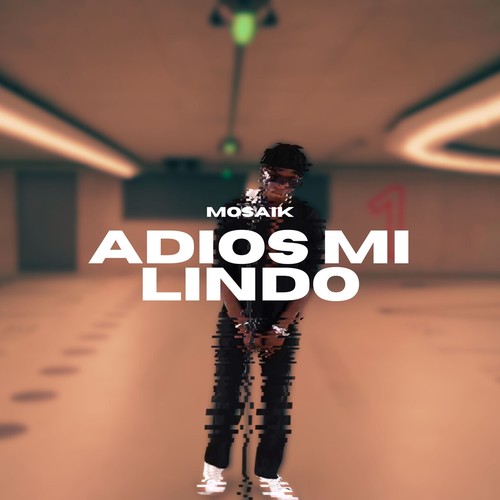 Adios mi Lindo