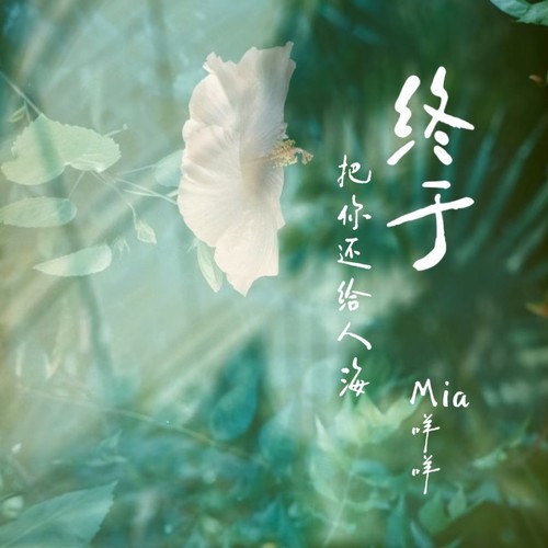 终于把你还给人海