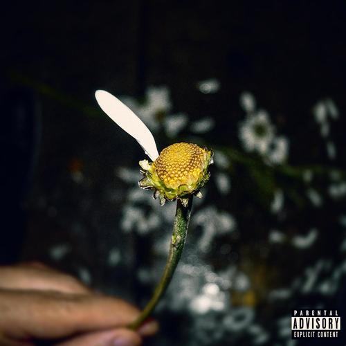 She Love Me Not (Explicit)