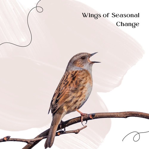Wings of Seasonal Change