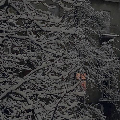 wostok (Explicit)