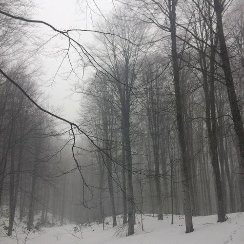 Highsky (Explicit)
