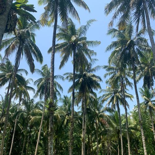 Venice Heat (Explicit)