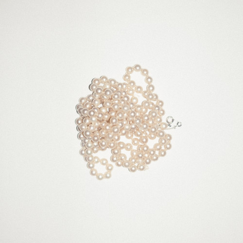 La vie, avec ou sans le risque ?