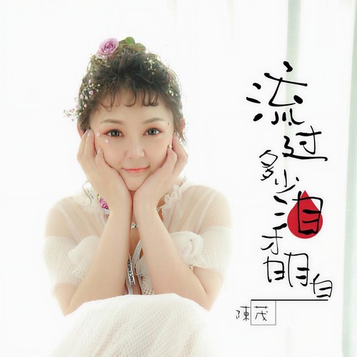 流过多少泪才明白