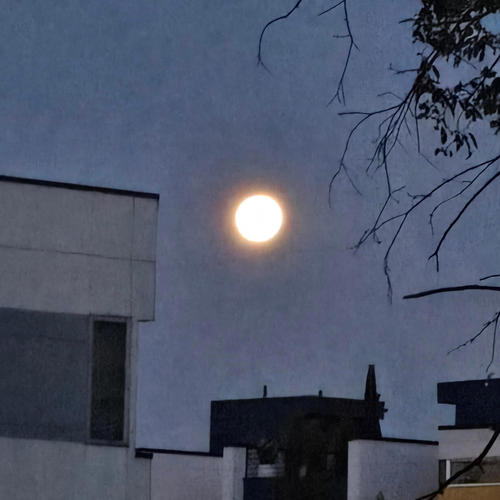 Door to door (feat. FastHands) [Explicit]