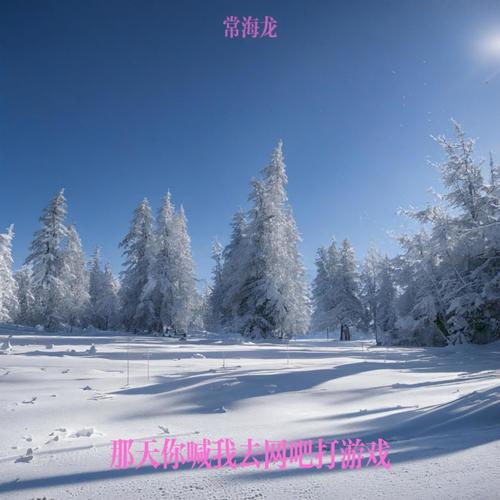 那天你喊我去网吧打游戏