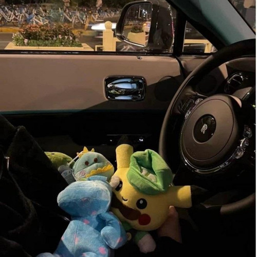 《驾驶的乐趣》