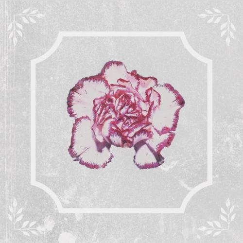 God & All His Friends