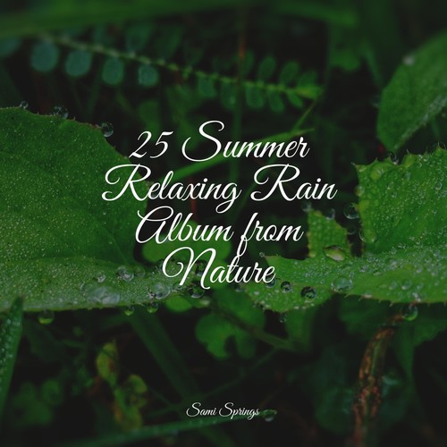25 Summer Relaxing Rain Album from Nature