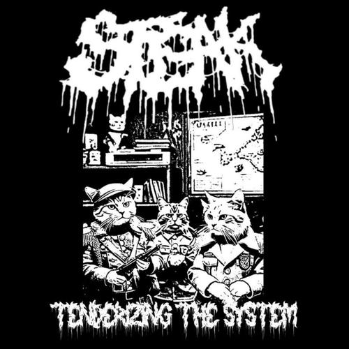 Tenderizing the System (Explicit)