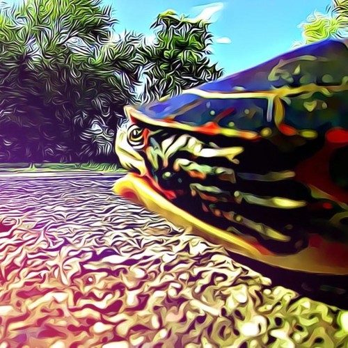 Alligator Tears of the Crimson Orchid