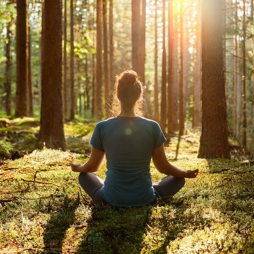 Música De Meditación Para Una Concentración Mental Inspiradora