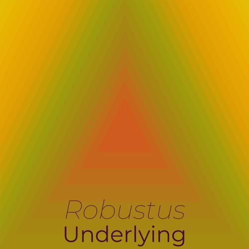 Robustus Underlying