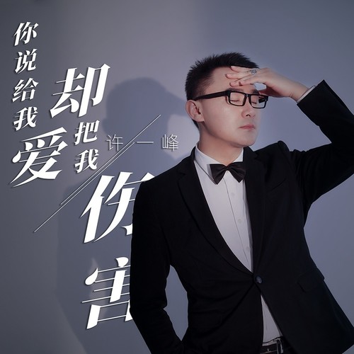 你说给我爱却把我伤害