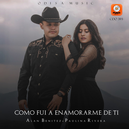 Como Fui a Enamorarme de Ti