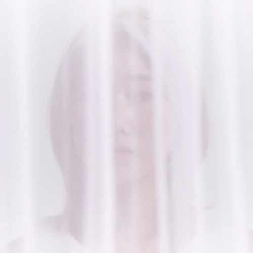 Celebrate in Paradise