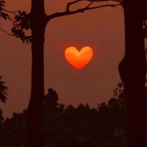 音你心动 | 好听满格