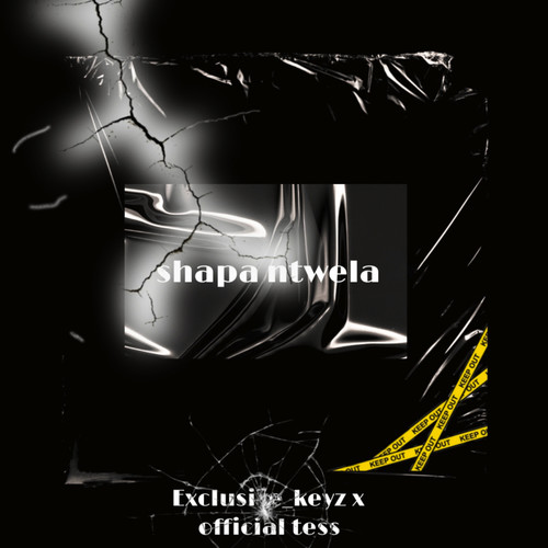 Shapa Ntwela