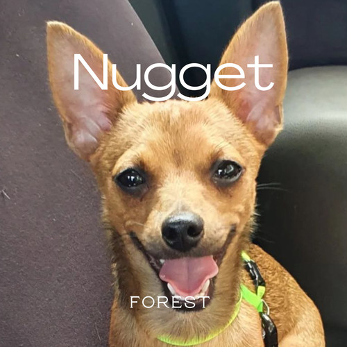 Nugget