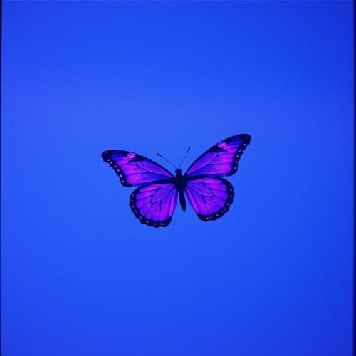 Liria (ALBANIAN DEEP HOUSE)