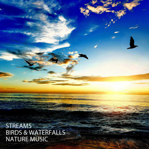 Streams: Birds & Waterfalls Nature Music