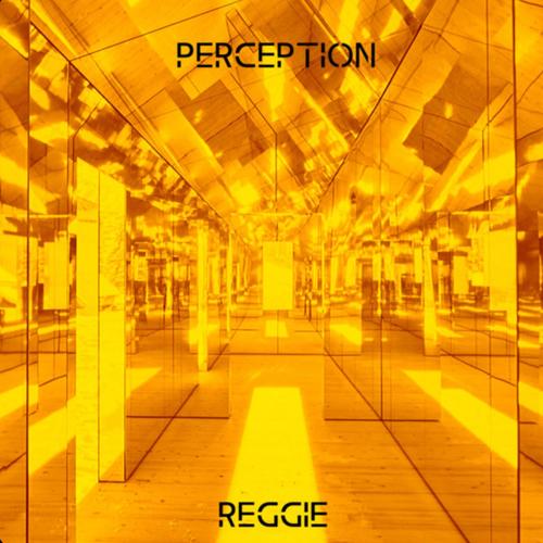 Perception (Explicit)