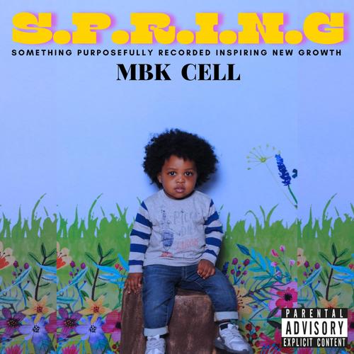 S.P.R.I.N.G (Explicit)