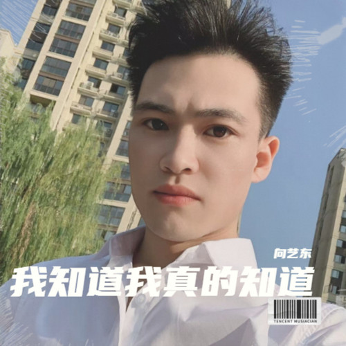 我知道我真的知道-向艺东