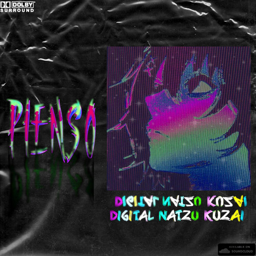 Pienso Digital Broke