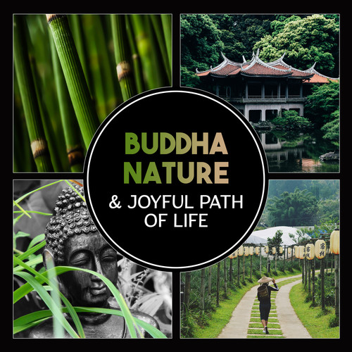 Buddha Nature & Joyful Path of Life – Touch of Healing, Meditation, Spiritual Teaching, Mindfulness Activities for Inner Peace, Energy Zen Flow