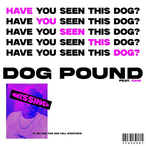 DOG POUND (feat. Cam) [Explicit]