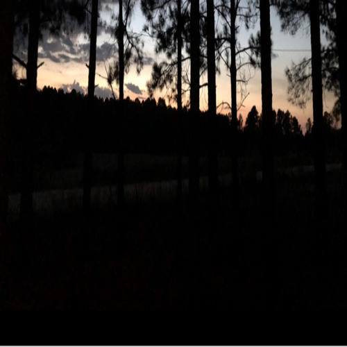 Only You Can Make Me Feel Alive