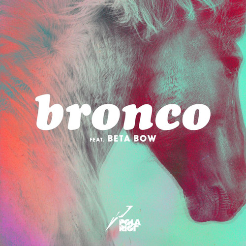 Bronco