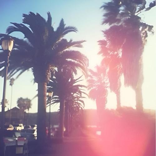 A Sober Summer (Explicit)