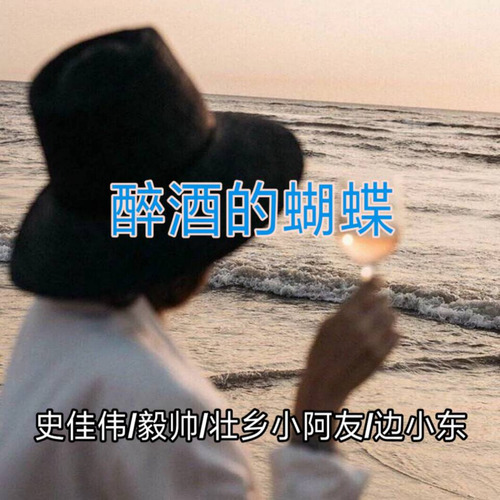 醉酒的蝴蝶