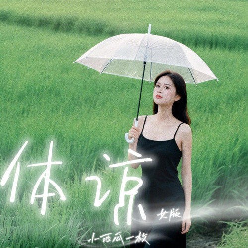 体谅
