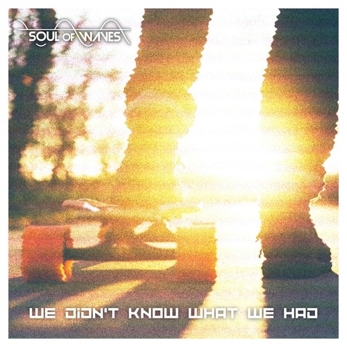 We Didn't Know What We Had