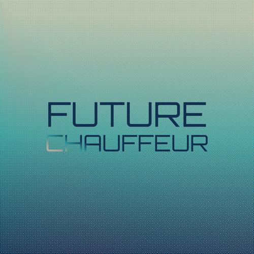 Future Chauffeur
