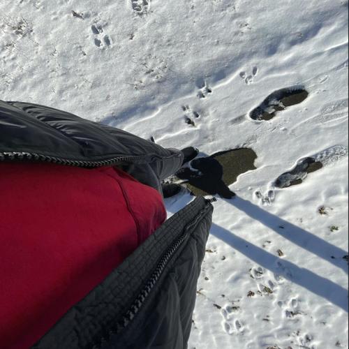 #got em (feat. Jay Angelic & Kartel) [Explicit]