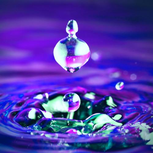 Splash (feat. lil XipZ, Crizzy White, teddyboi & Danny Adventure) [Explicit]